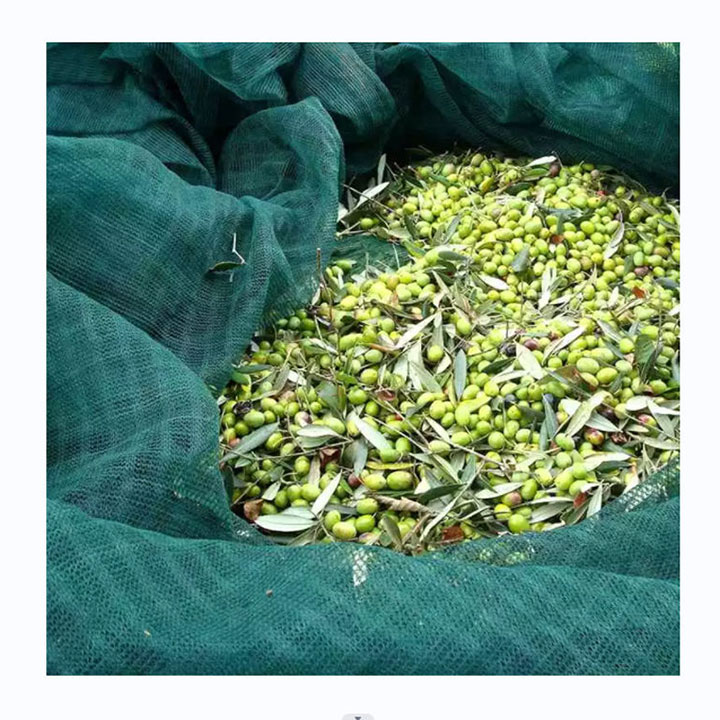 Seleseina Olive upega HDPE lalaga Green Olive Net